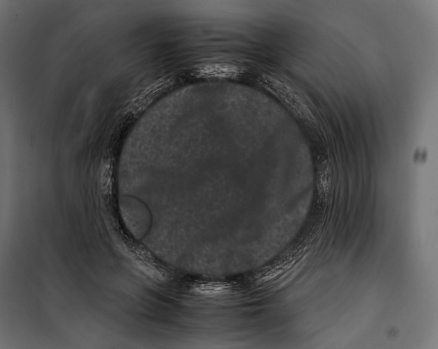 X0000099940551200806201123