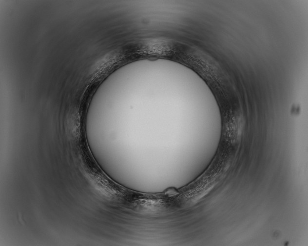 X0000099940552200806201123