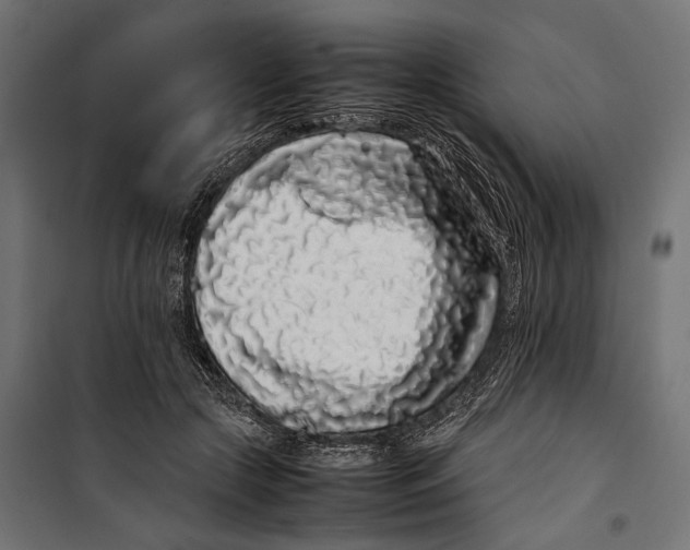 X0000099940553200806201123