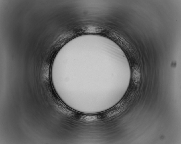 X0000099940554200806201123