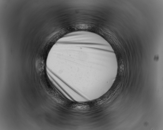 X0000099940555200806201123