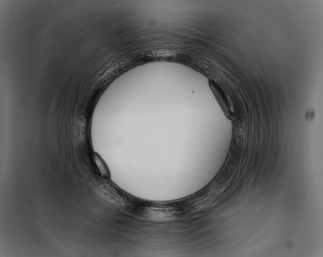X0000099940556200806201123