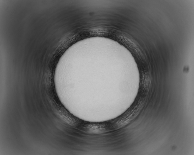 X0000099940557200806201123
