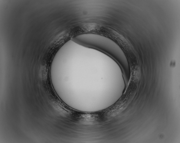 X0000099940558200806201123