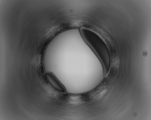 X0000099940560200806201123
