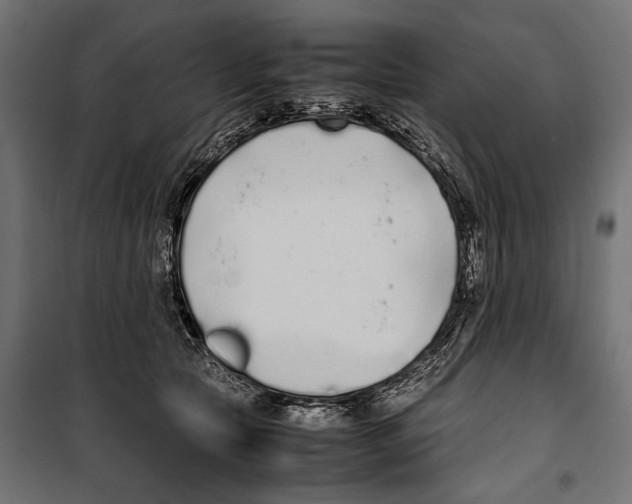 X0000099940561200806201123