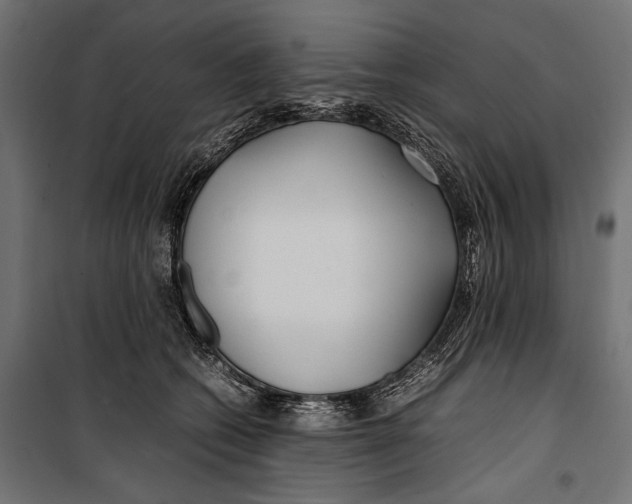 X0000099940562200806201123