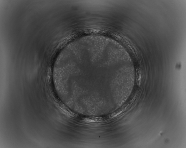 X0000099940563200806201123