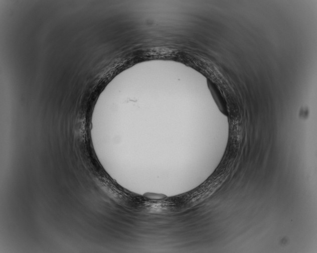 X0000099940564200806201123