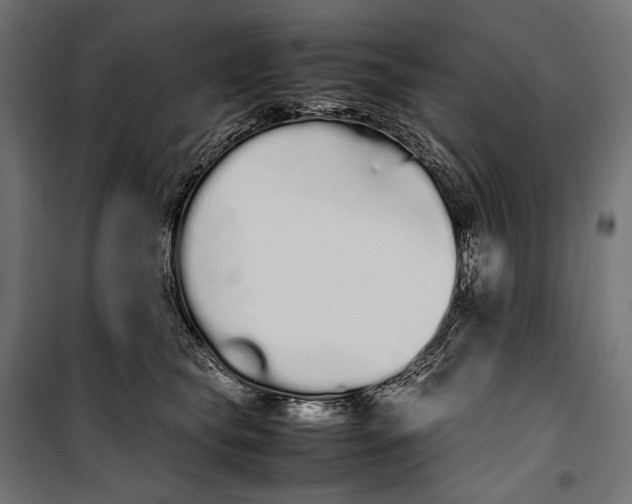 X0000099940565200806201123