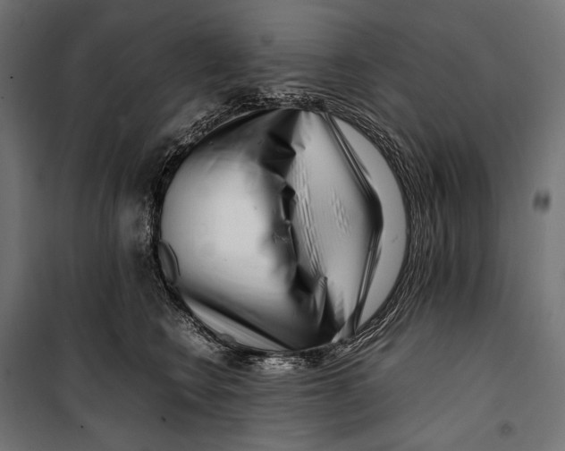 X0000099940566200806201123