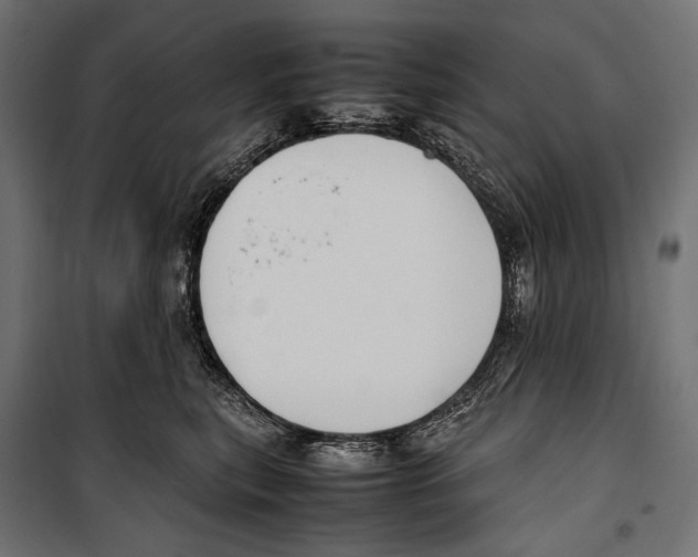 X0000099940567200806201123