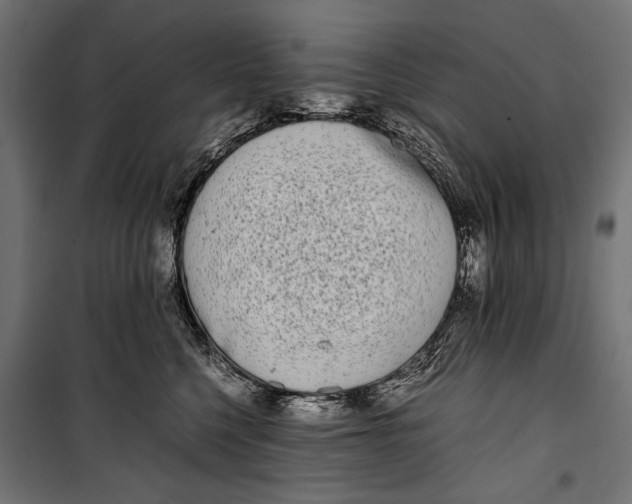 X0000099940568200806201123