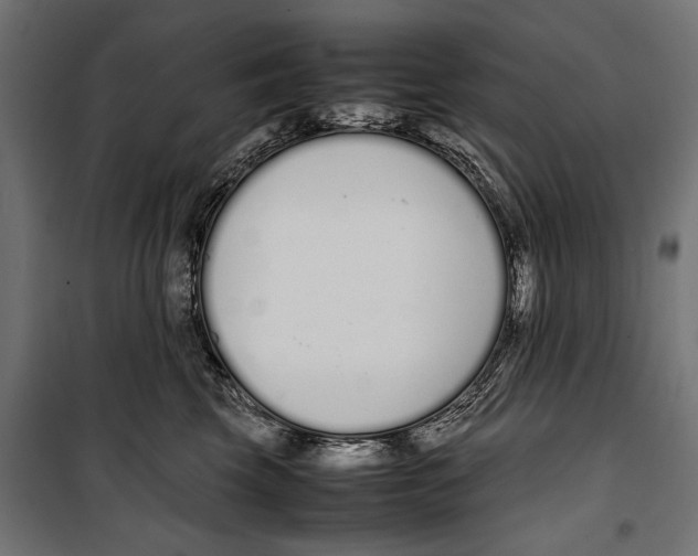 X0000099940569200806201123