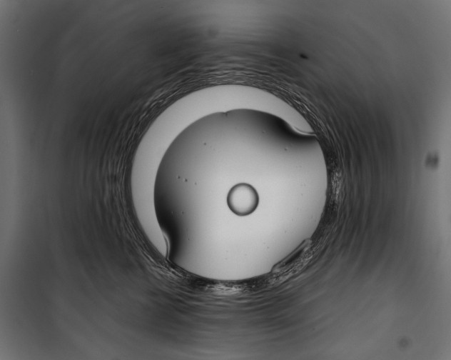 X0000099940570200806201123