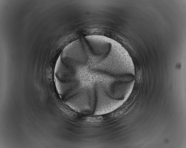 X0000099940571200806201123