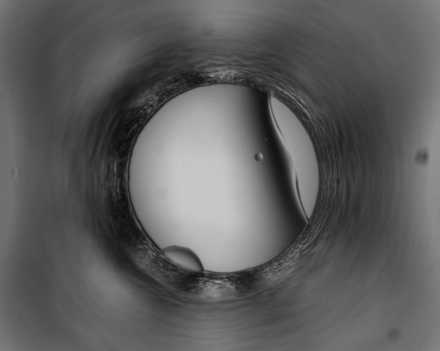 X0000099940572200806201123