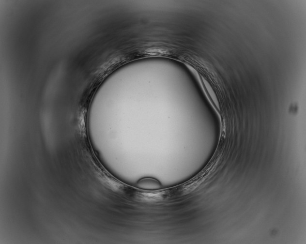 X0000099940573200806201123