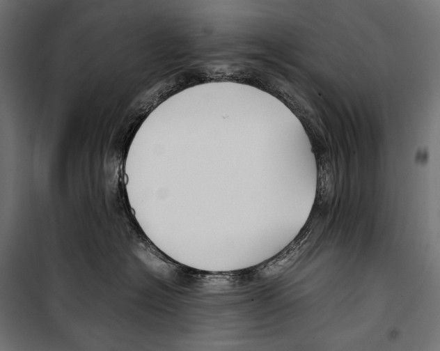 X0000099940574200806201123