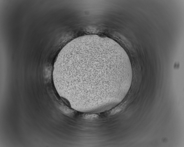 X0000099940576200806201123