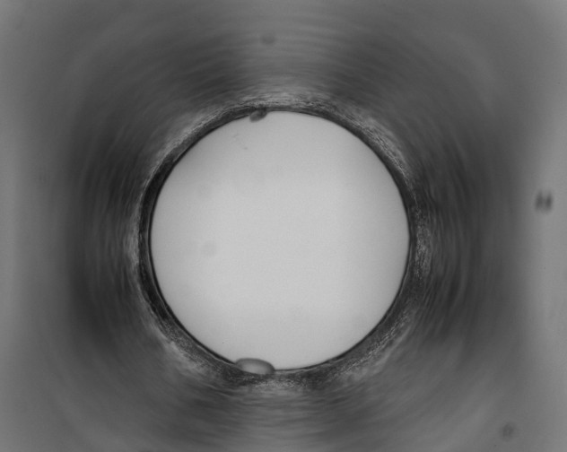 X0000099940578200806201123