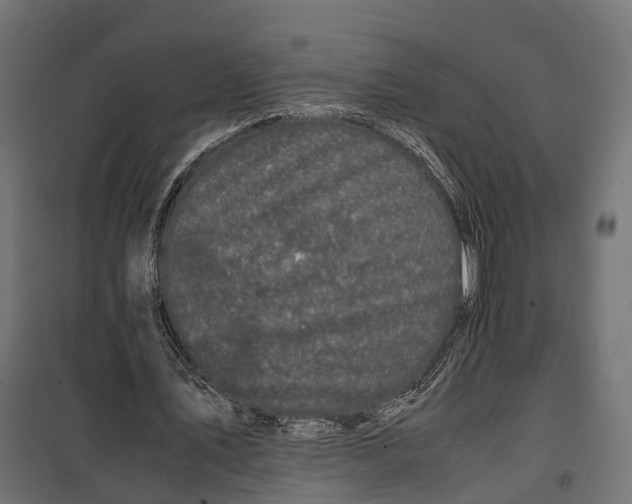 X0000099940579200806201123
