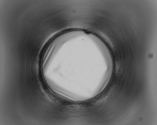 X0000099940580200806201123