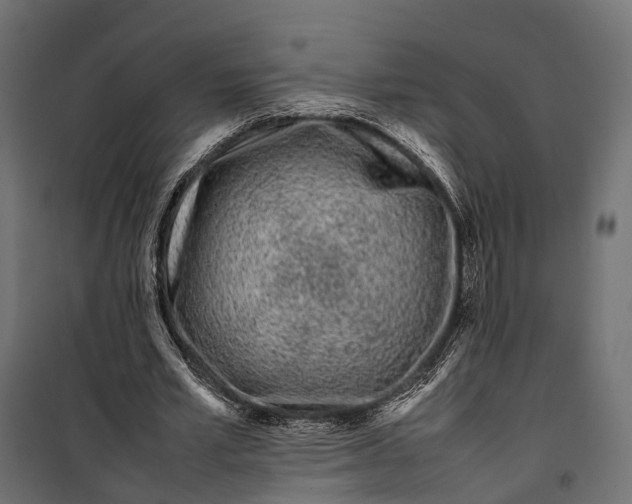 X0000099940581200806201123