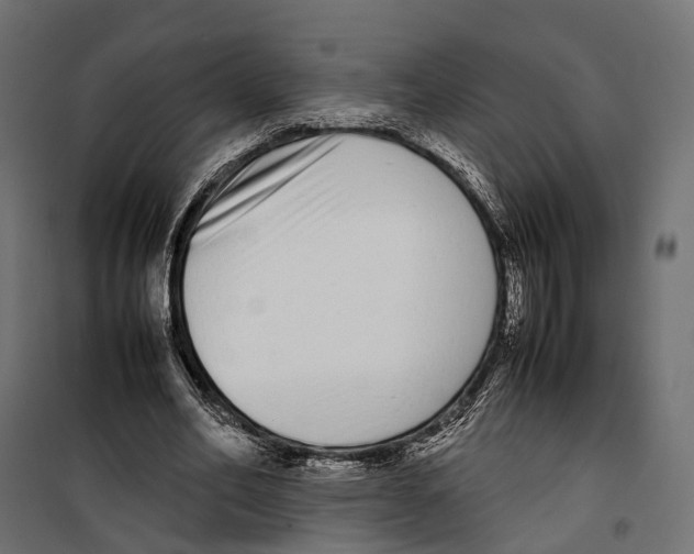 X0000099940582200806201122