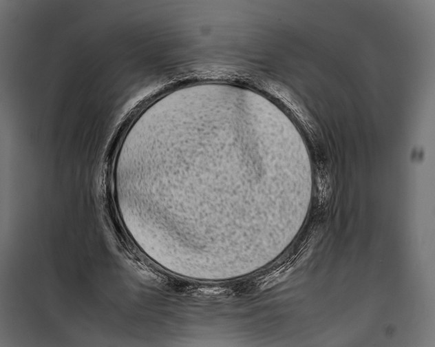 X0000099940583200806201122