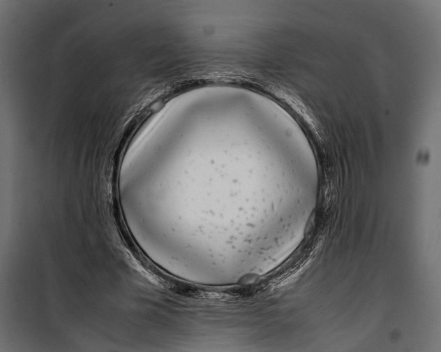 X0000099940585200806201122