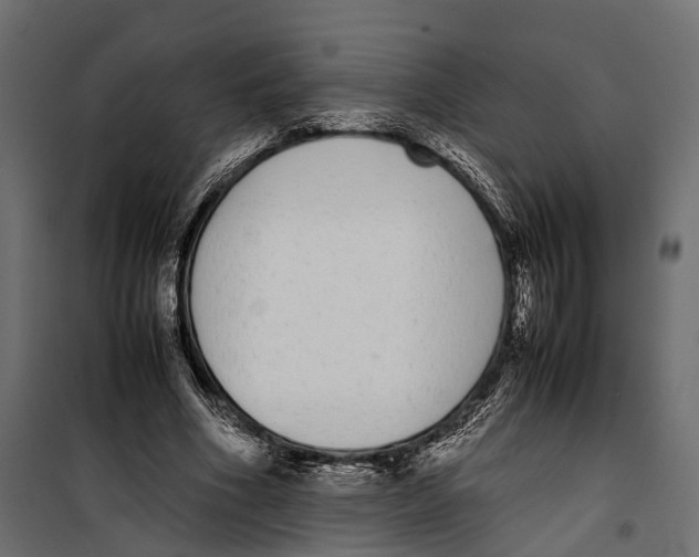 X0000099940586200806201122