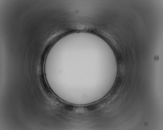 X0000099940587200806201122