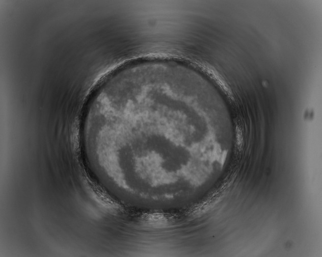 X0000099940588200806201122