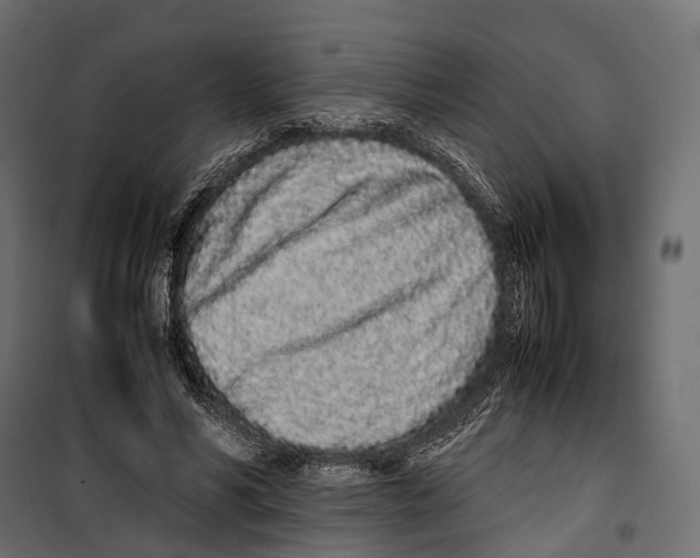 X0000099940590200806201122