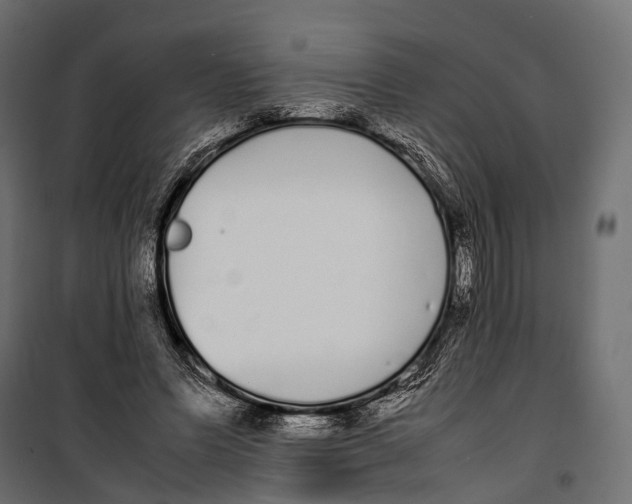 X0000099940591200806201122