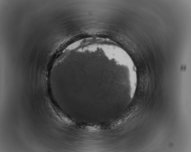 X0000099940592200806201122