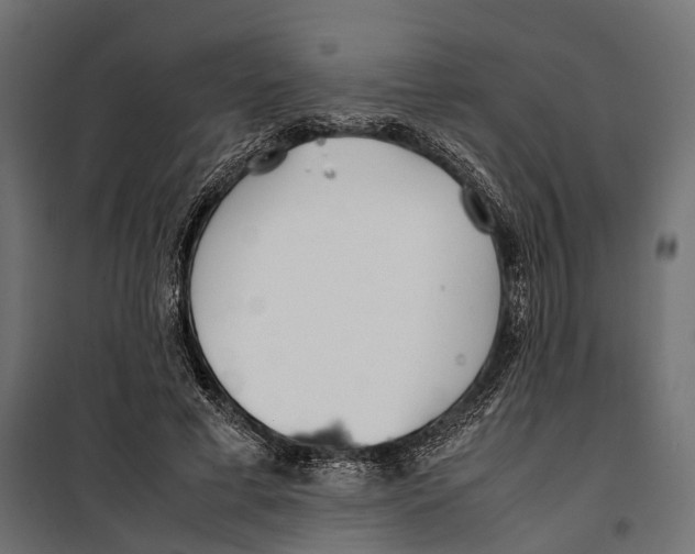 X0000099940593200806201122