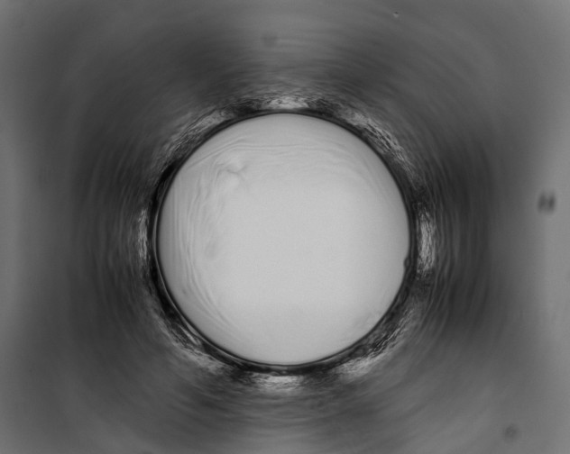 X0000099940594200806201122