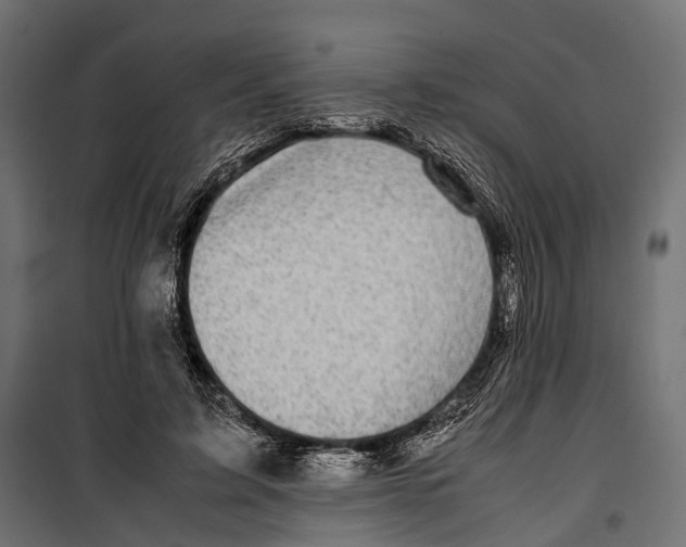 X0000099940595200806201122