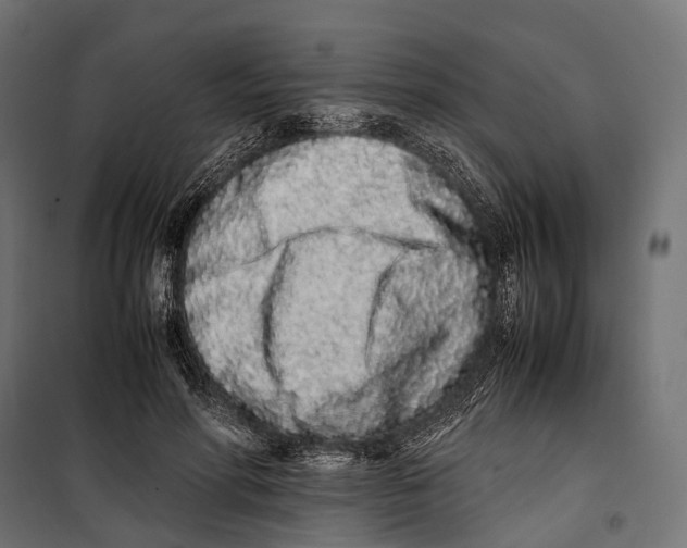 X0000099940598200806201122