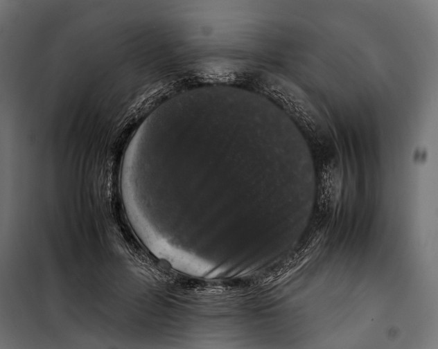 X0000099940600200806201122