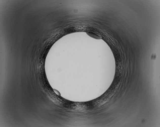 X0000099940601200806201122