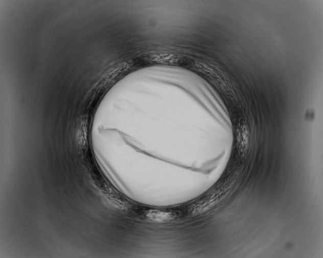 X0000099940602200806201122