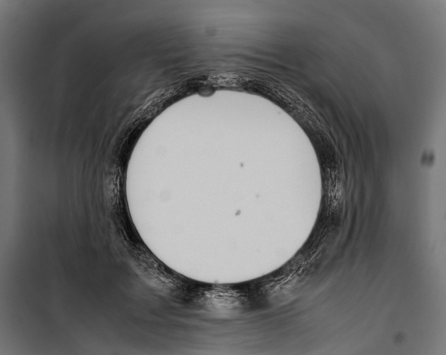 X0000099940603200806201122