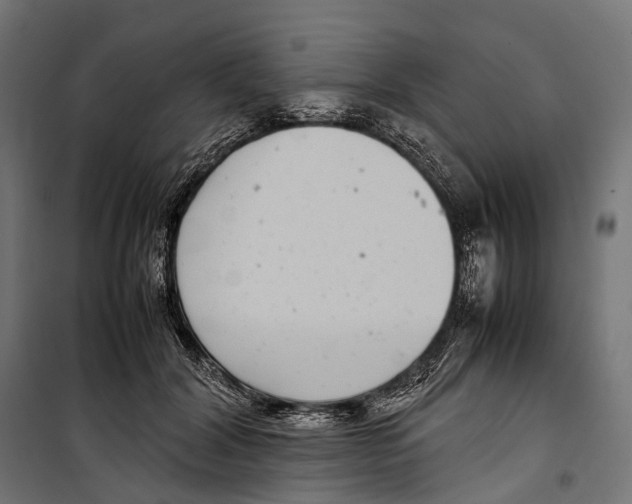 X0000099940604200806201122