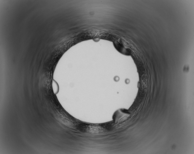 X0000099940605200806201122