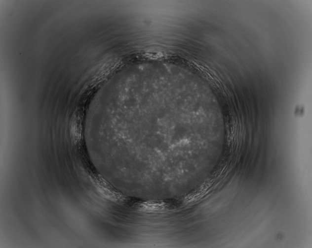 X0000099940606200806201122