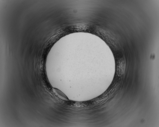 X0000099940608200806201122