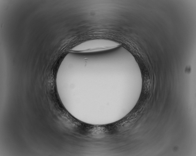 X0000099940609200806201122